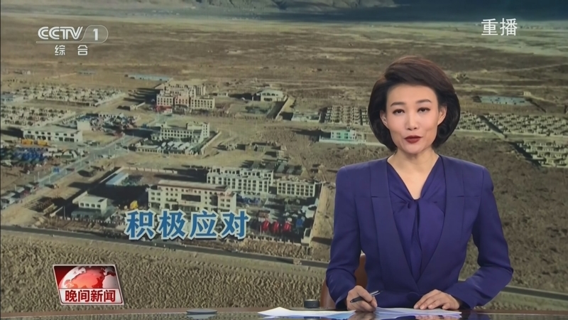 假設教練名