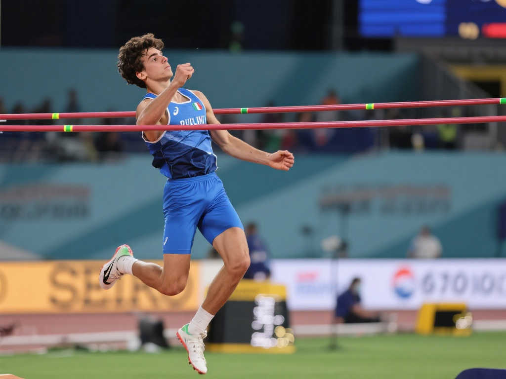 论和关注 论和关注