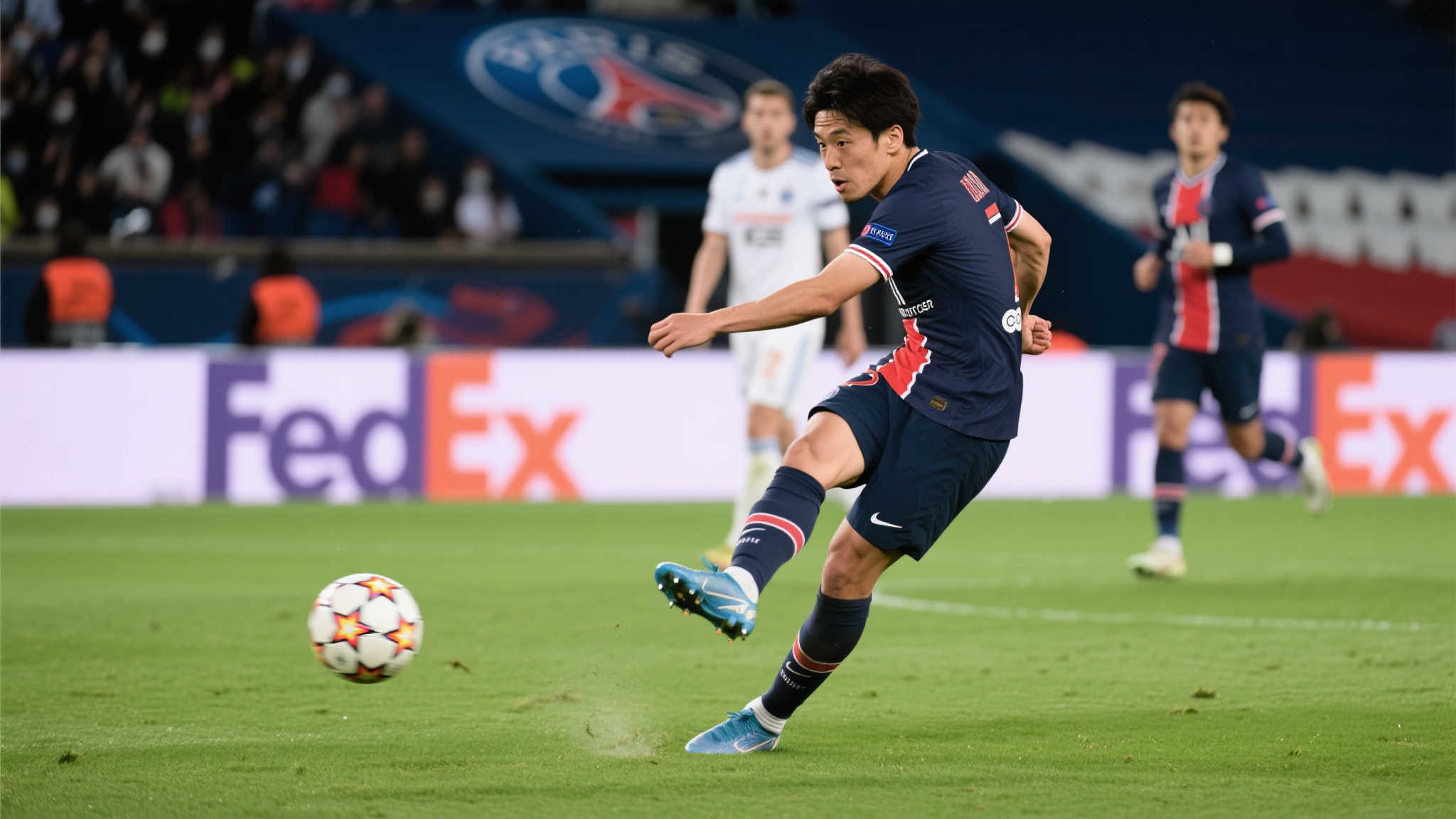 諾維茨基的 諾維茨基的