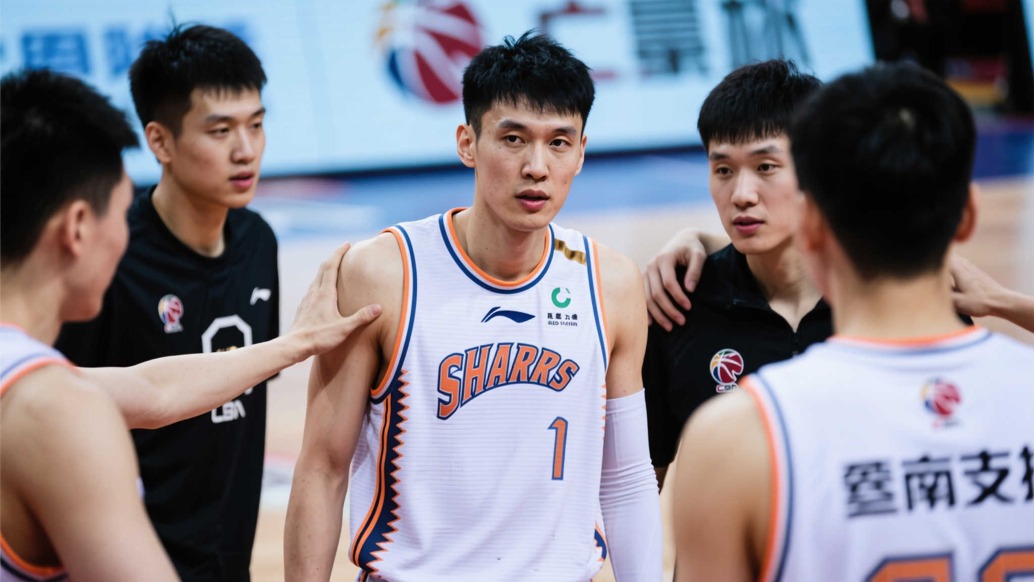 如林的舞台 如林的舞台